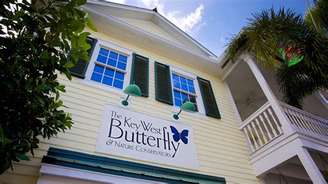 Key West Butterfly and Nature Conservatory in Key West, Florida ...