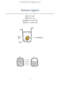 Osmose Rapport Biologi Opgaver