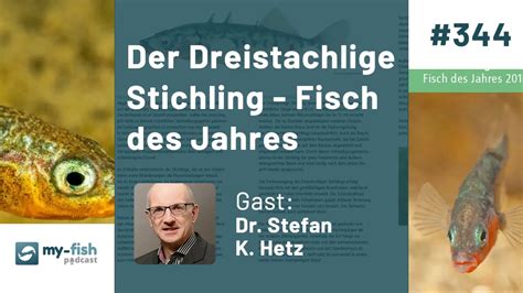 344 Der Dreistachlige Stichling Fisch Des Jahres Dr Stefan K Hetz