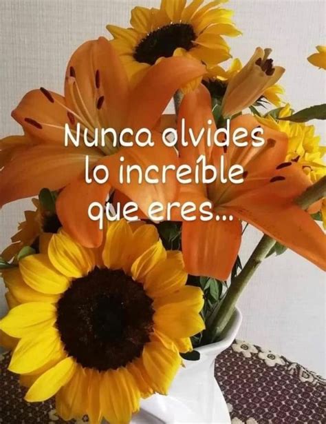 Pin de Lorena Alva en frases mías en 2024 Imagenes de flores