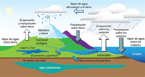 Siklus Hidrologi Proceso y Representación Gráfica en el Estudio de la