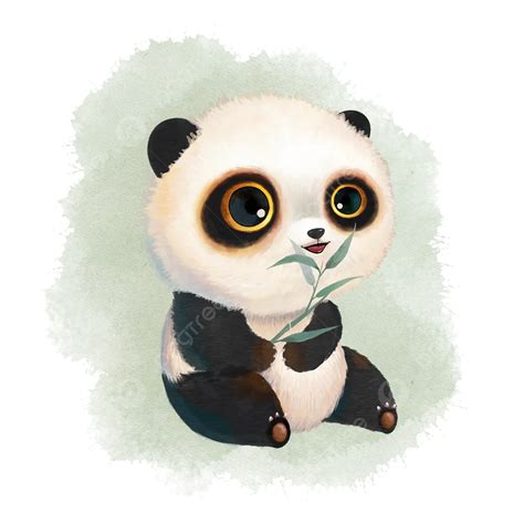 Aquarelle De Panda Géant PNG Panda Géant Aquarelle Panda Rouge