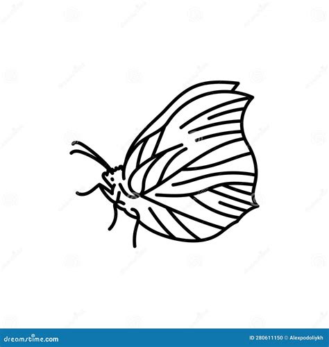 Butterfly Of Gonepteryx Rhamni Species In Vintage Detailed Style