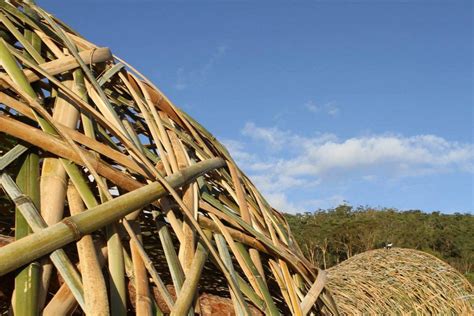 Woven Sky A Bamboo Tunnel Installation Woven Together Like A Basket By