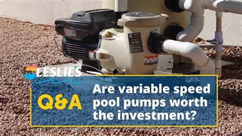 Qanda Are Variable Speed Pool Pumps Worth The Investment Leslie S Youtube