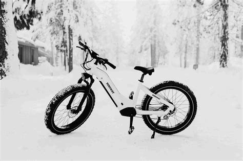 Himiway D Step Thru Zebra Electric Bike