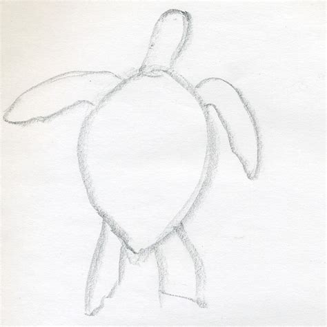 Turtle Sketch Easy at PaintingValley.com | Explore collection of Turtle Sketch Easy