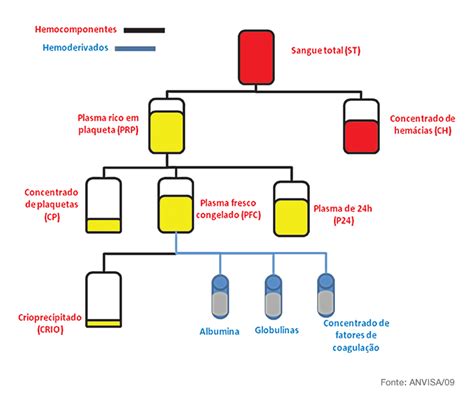 Hemocomponentes e Transfusão Sanguínea Colunistas Sanarmed