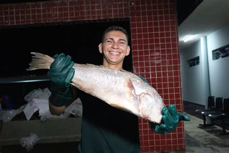 Prefeitura de Teotônio Vilela distribui 70 toneladas de peixe durante a