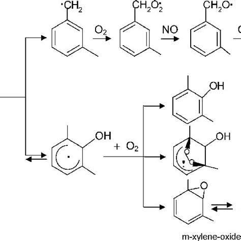 Scheme Mechanistic Diagram For The Oh Initiated Oxidation Of M