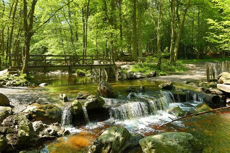 Hidden Belgium: One of the most attractive hiking trails in the Ardennes