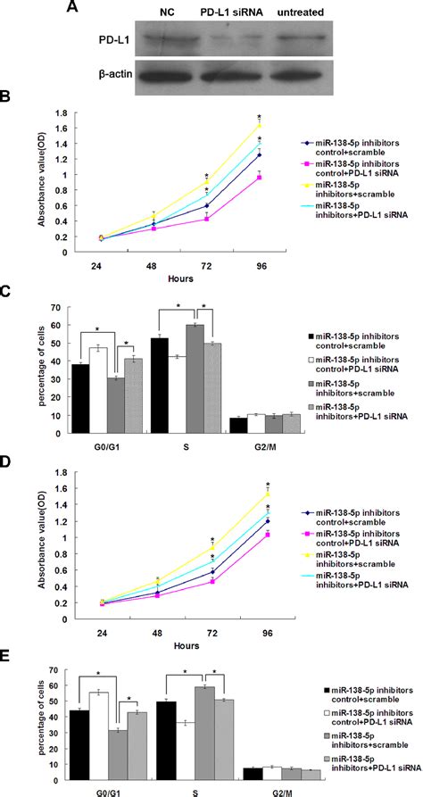 Figure 1 From The Tumor Suppressor MiR 138 5p Targets PD L1 In