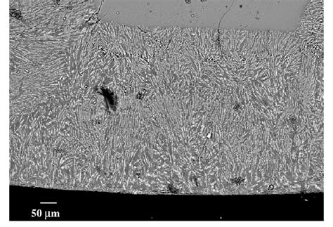 Sem Micrograph Of P6 Glass Ceramic Treated At 900 °c For 2 H Download Scientific Diagram