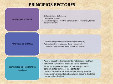 Principios Rectores Modelo De Atención Con Enfoque Integral E I I By