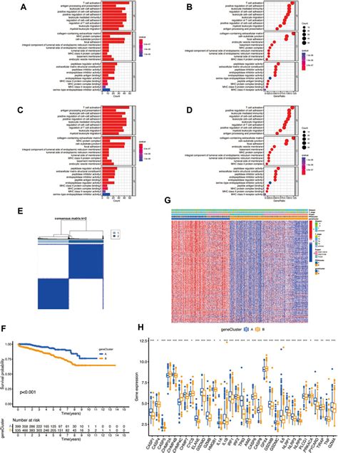 Frontiers Identification Of Pyroptosis Related Gene Signatures And