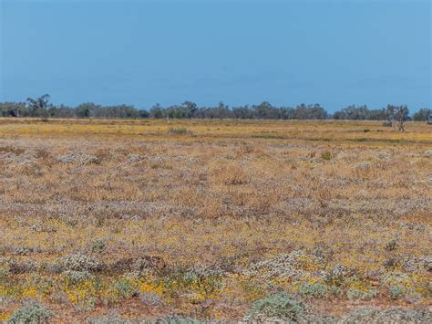 North Australian Tropical Savannas Au8 One Earth