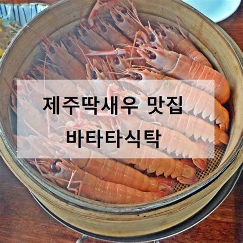 제주딱새우는 여기 표선 바타타식탁 네이버 블로그