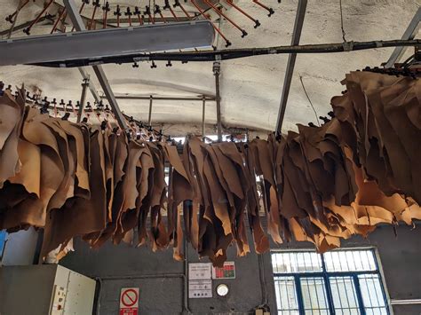 Career advisors explain what the current mit pay structure actually means 3