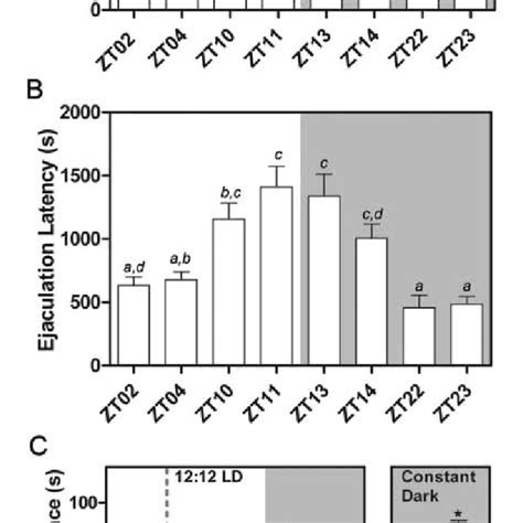 Diurnal Variation In Sexual Behavior And Sex Related Reward In The Male