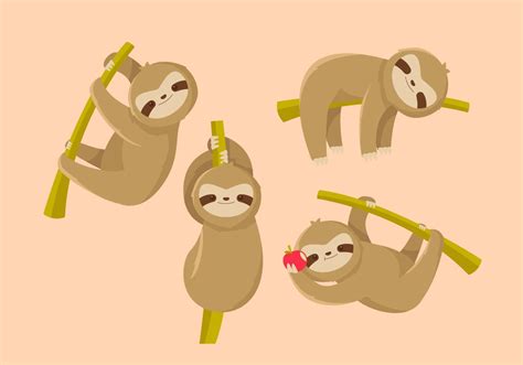 Sloth Flat Vector 130755 Vector Art At Vecteezy