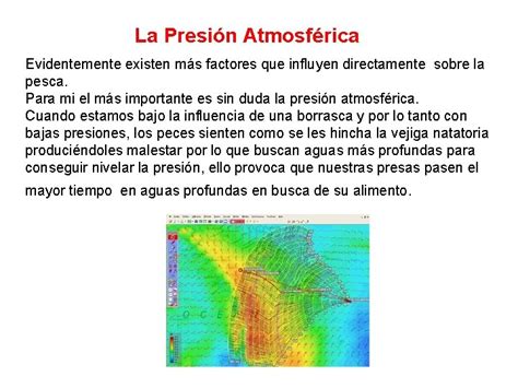 La Cadena Trofica Alimentaria Cadena Trfica Del Griego