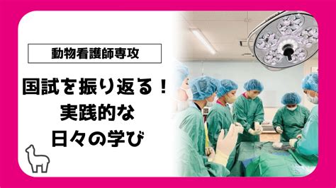 【動物看護師専攻】国試を振り返る！実践的な日々の学び 【スタッフブログ】eco日記｜名古屋eco動物海洋専門学校