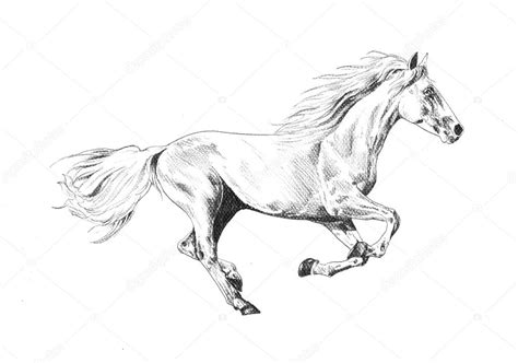 Freehand horse head pencil drawing Stock Illustration by ©maxtor7777 ...