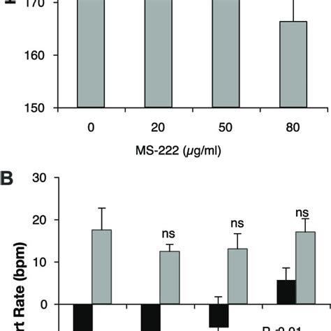 anesthetic ms  alters heart rate hr regulation increasing