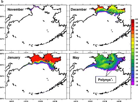 Seasonal Variations Of Sea Ice And Ocean Circulation In The Bering Sea A Model‐data Fusion