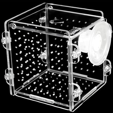 Fish Breeding Box Aquarium Fish Breeding Box With Suction Cup Acrylic