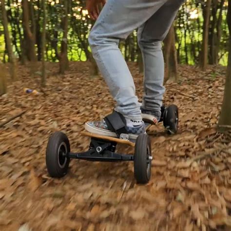 Syl Electric Skateboard Off Road With Remote Control Black