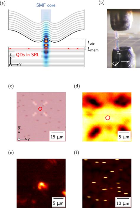 Figure 1 From Investigation Of Purcell Enhancement Of Quantum Dots