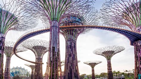 Supertree Grove Gardens By The Bay Singapore Garden Beautiful