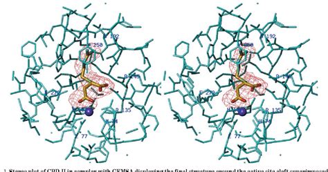 Figure 1 from The Crystal Structure of the Inhibitor-complexed ...