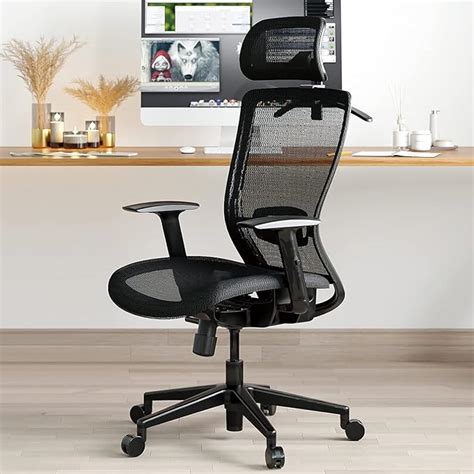 Flexispot Oc3 Ergonomic Office Chair