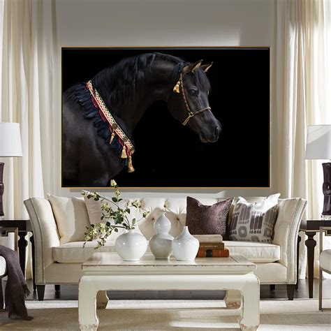 Arabian Black horse portrait | MUR Gallery