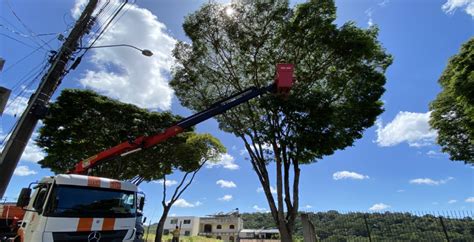 Prefeitura Realiza Poda De Rvores Em Mais De Dez Bairros Nesta Semana