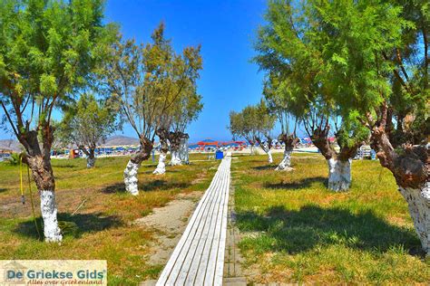 Tigaki Kos | Urlaub in Tigaki Griechenland