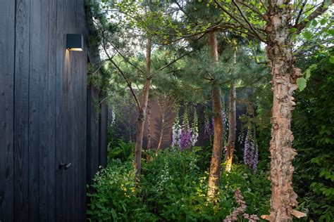 8 Shady Garden Design Ideas – Garden Club London