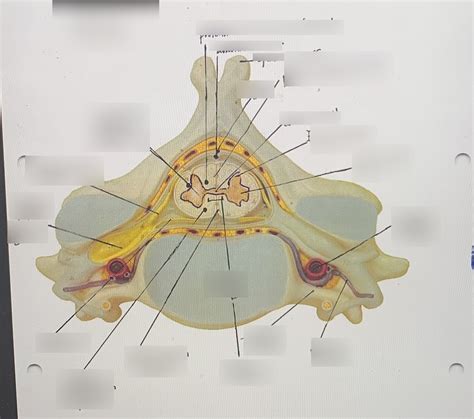 Practical 5 Labs 13 3 Diagram 15 Diagram Quizlet