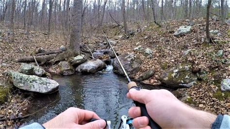 Native Brook Trout Fishing In Tiny Mountain Stream Youtube