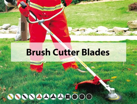 Different Types Of Brush Cutters At Lise Elsie Blog