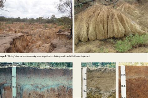 Understanding Sodic Soils - Reef Catchments