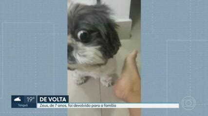 V Deo Cachorrinho Zeus De Anos Foi Devolvido Para A Fam Lia Rj G