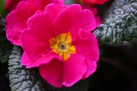 SEX MLÁDÍ ŽIVOTNÍ ENERGIE Jájsem