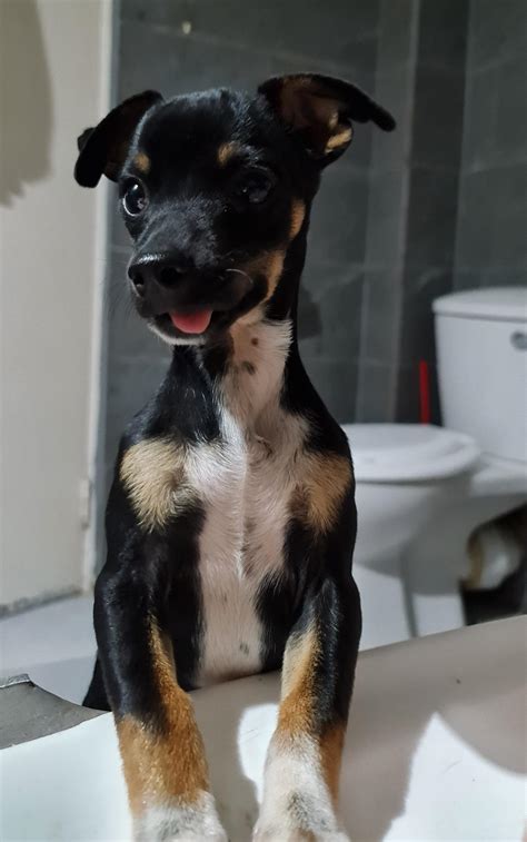 Born with defects, wanted by no one, I brought him home at an hour old