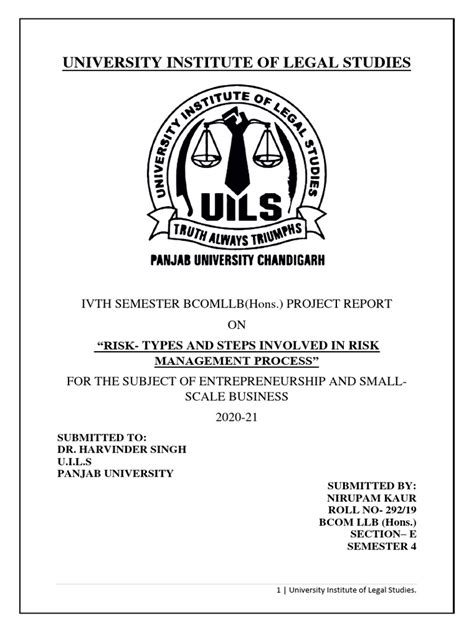 Project Report On Risk Management | PDF