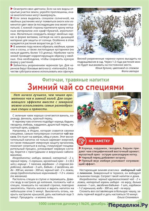 1000 советов дачнику №24 2022 * Переделки.РуПеределки.Ру