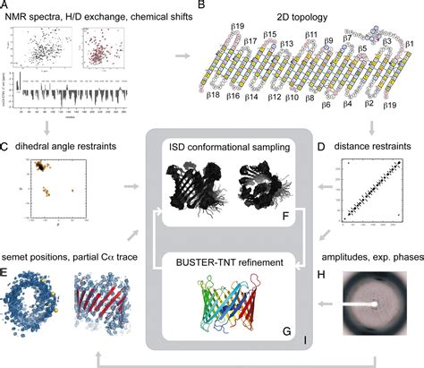 Structure Of The Human Voltage Dependent Anion Channel Pnas