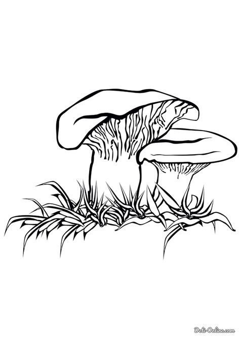 Раскраска Грузди распечатать или скачать